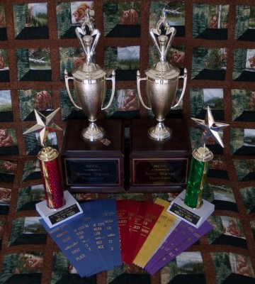 End Of Year Trophies Motor City Camera Club Birmingham, Michigan GDACC