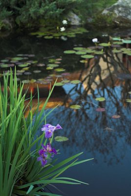DSC_8993.jpg