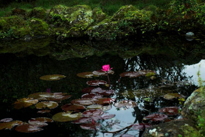 DSC_9397.jpg