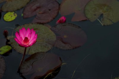 DSC_9401.jpg
