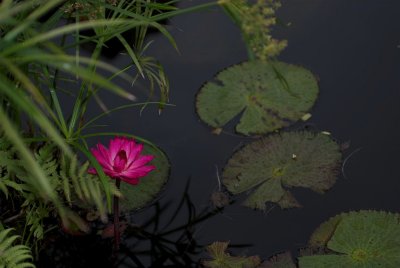 DSC_9405.jpg