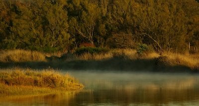 Estuary mist.jpg