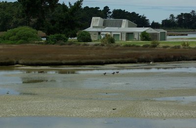 Pleasant Point Yacht Club 4.