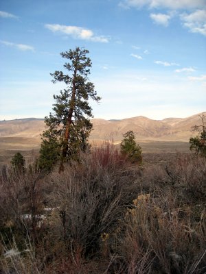 IMG_0023 l.JPG