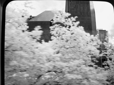 i57A_9870 bw.JPG