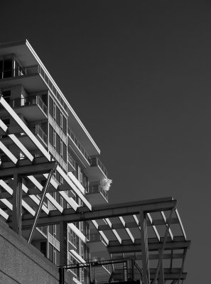 i57c3822 bw.JPG