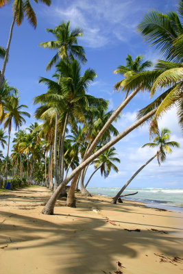 playa bonita samana 4 vac 2010.jpg