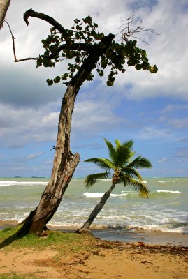 Playa Bonita, Las Terrenas, Samana, Dominican Republic.