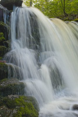 _DSC1217.jpg