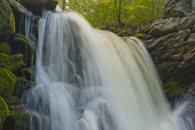 _DSC1219.jpg