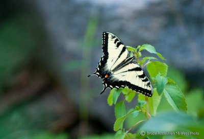 _DSC7025.jpg