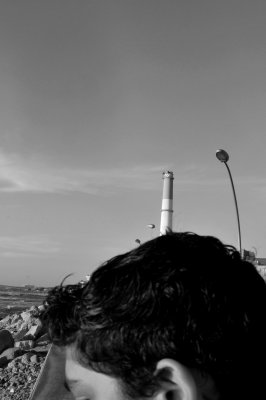 559.jpg