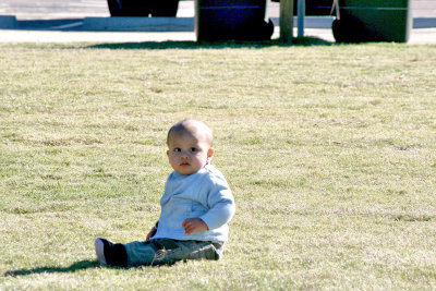 Tozza on Turf