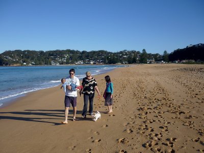 Avoca Dogs Walking Us