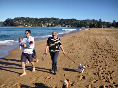 Avoca Dogs Walking Us