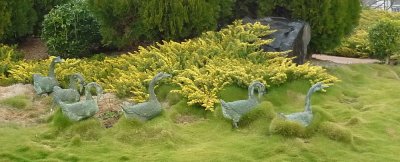 Hunter Valley Garden