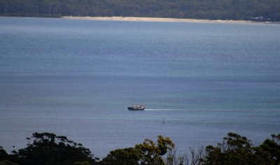 Tea Garden Ferry