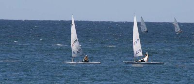 Laser at Terrigal 2008