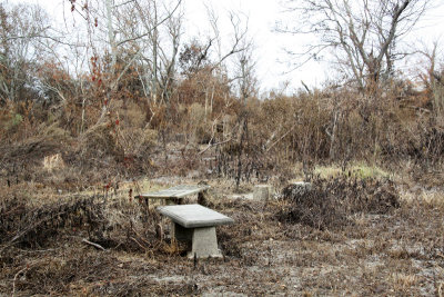 Benches near old water hole