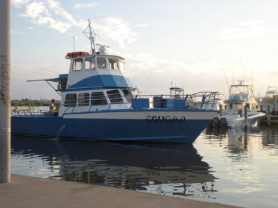 Pelagic Trip, Venice, LA, 9/27/09