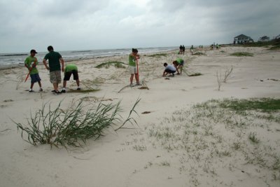 LSU Ag Center and St Martin Catholic School Volunteers