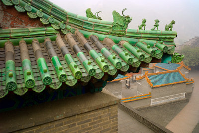 Dragons
