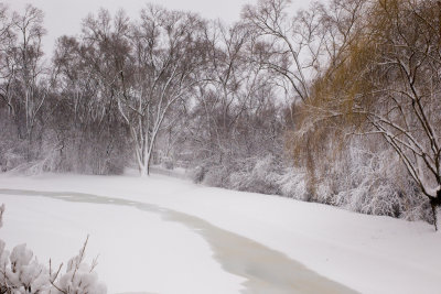 Pond, February 6
