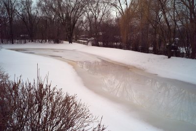 Pond, February17