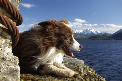 windy Nimpkish Lake