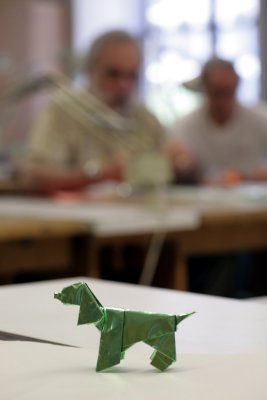 5d_20090627_4827.jpg