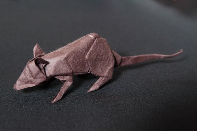 5dii_20100625_0085.jpg