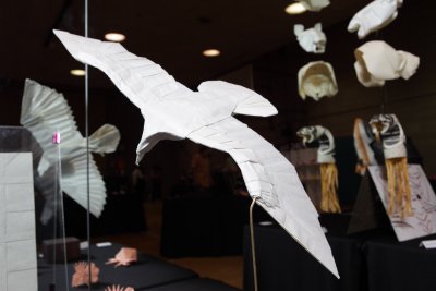 5dii_20100625_0091.jpg