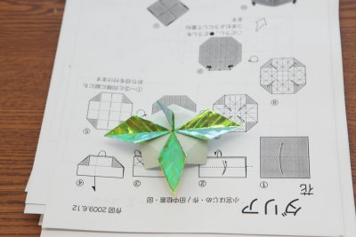 5dii_20100626_0609-1800px.JPG