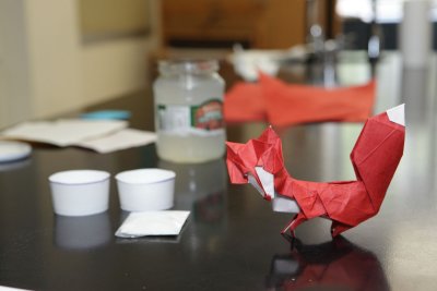 5dii_20100628_1946.jpg