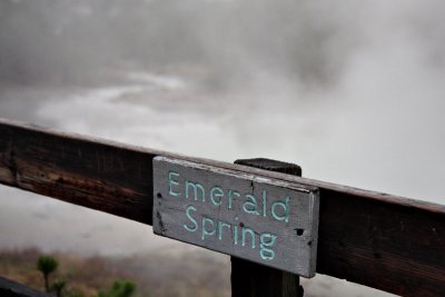Emerald Spring.jpg