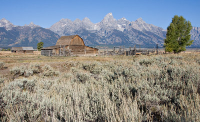 Grand Teton From Mormon Row