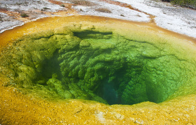 Morning Glory Pool
