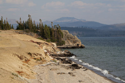 Along Yellowstone Lake