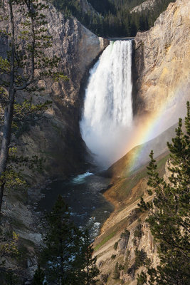 Lower Yellowstone Falls With Rainbow