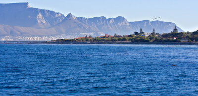 View of Capetown beyond tip of Robben Island