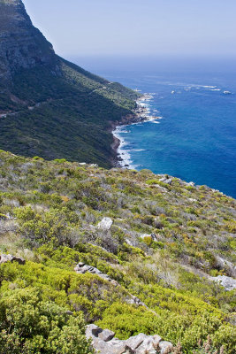 Cape Peninsula