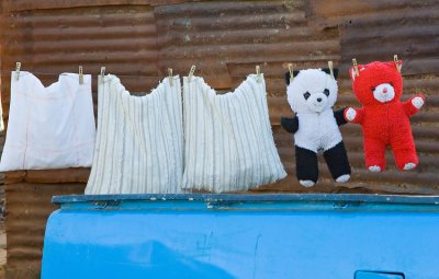 Teddy bears hung out to dry