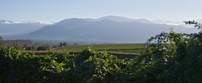 Cathbert Country Inn Morning View