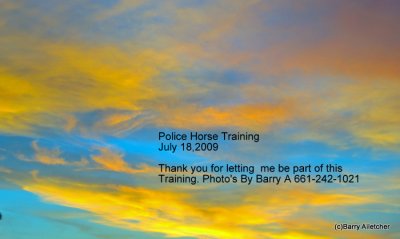 police_horse_training