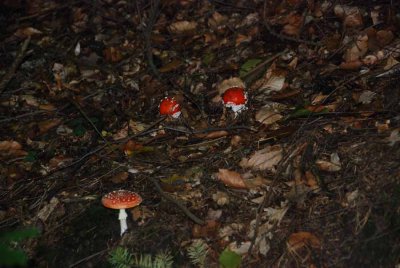 g1/60/816160/3/104201053.z8f9nxM7.jpg