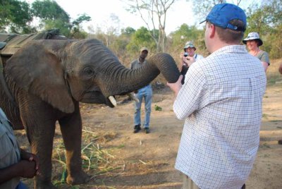 MICHAEL IS FEEDING AN ELEPHANT