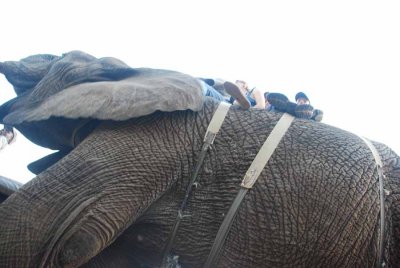 PETRA AND MICHAEL RIDING ON AN ELEPHANT