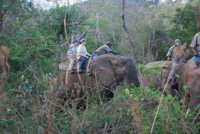 PETRA AND MICHAEL RIDING ON AN ELEPHANT