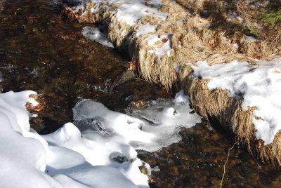 A BROOK STARTING TO BE FROZEN OVER