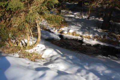 A BROOK STARTING TO BE FROZEN OVER